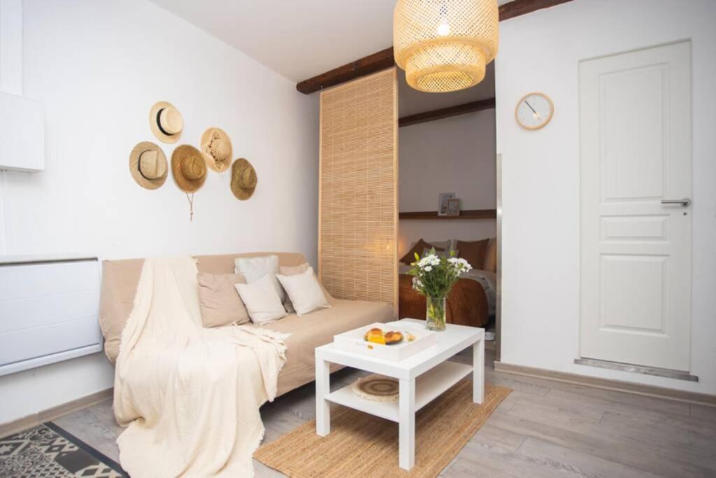 Апартаменты Le Boheme, Cosy, Hypercentre Гренобль Экстерьер фото