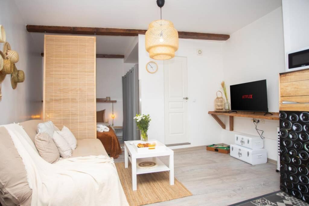 Апартаменты Le Boheme, Cosy, Hypercentre Гренобль Экстерьер фото